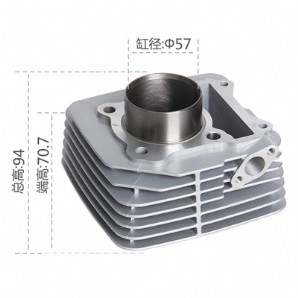 摩托車氣缸體EN125大葉片