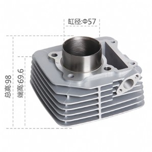 摩托車氣缸體EN145大葉片